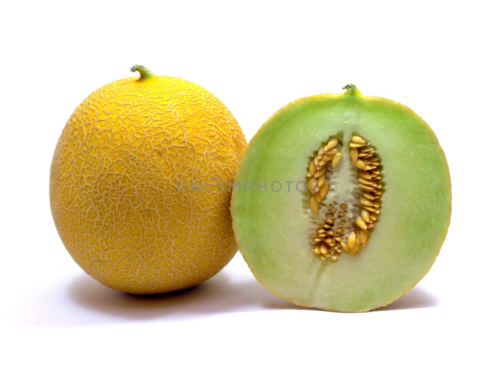 Galia melon (cucumis melo)