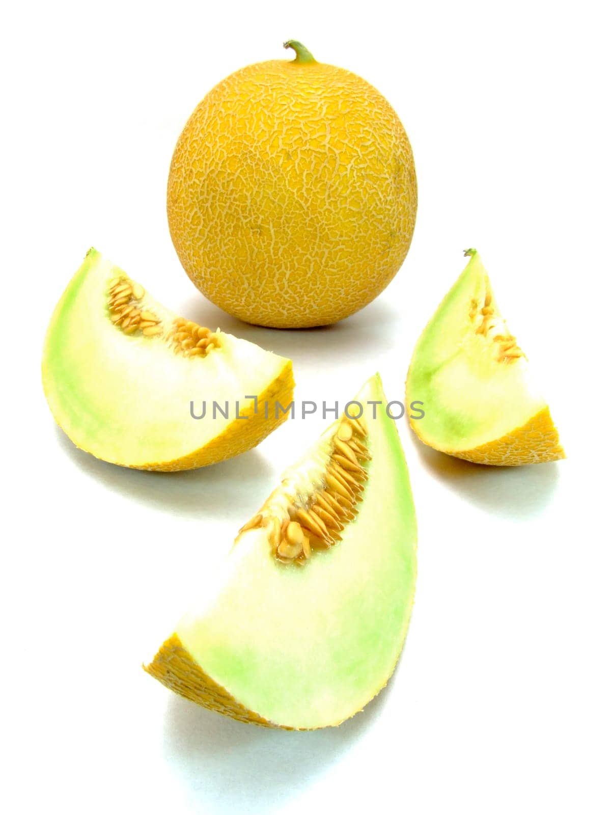 Galia melon (cucumis melo)