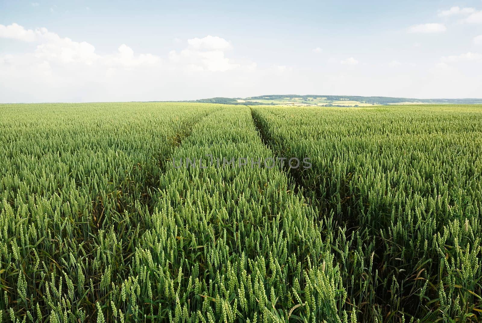 Grain size 5