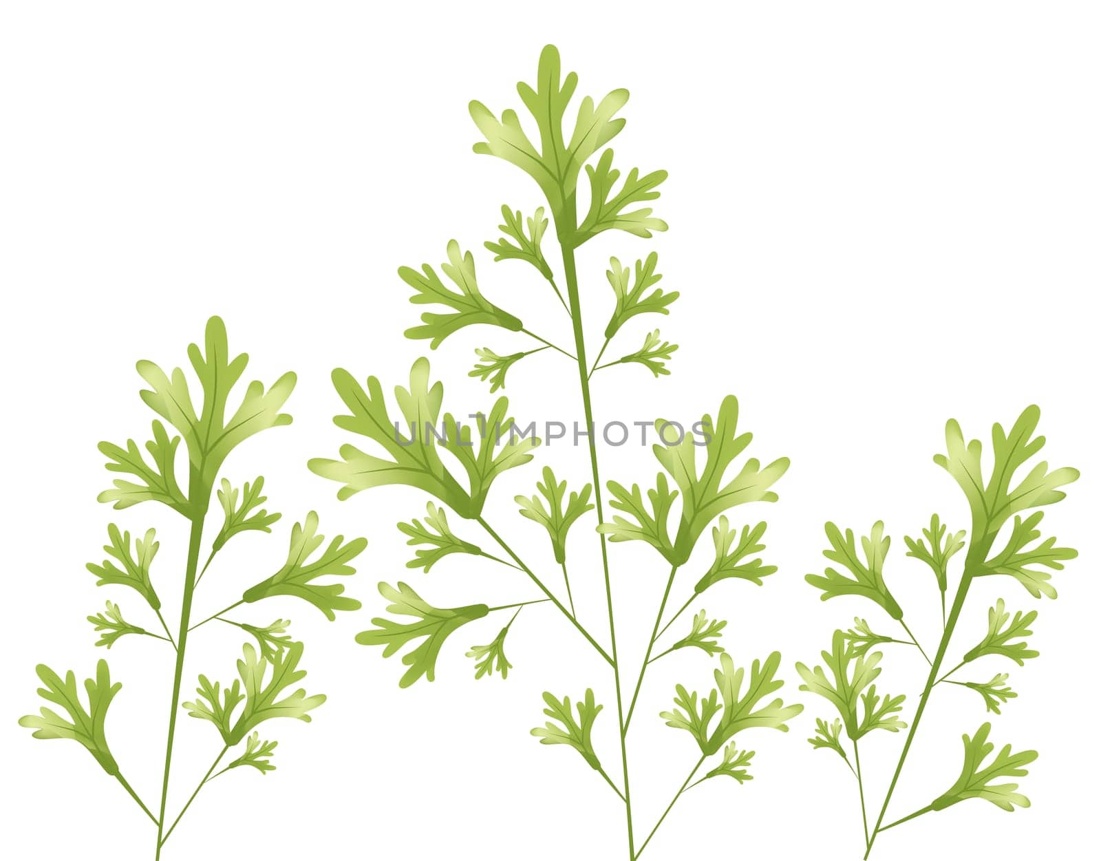 green leaves
