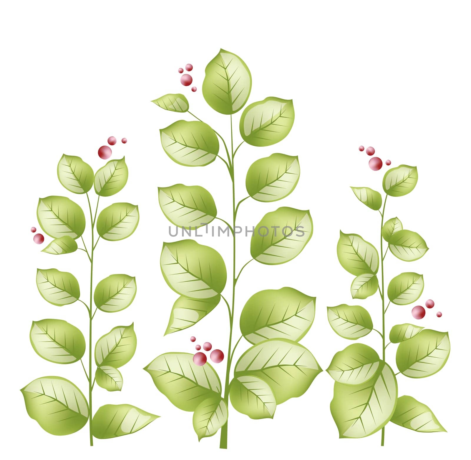leaves