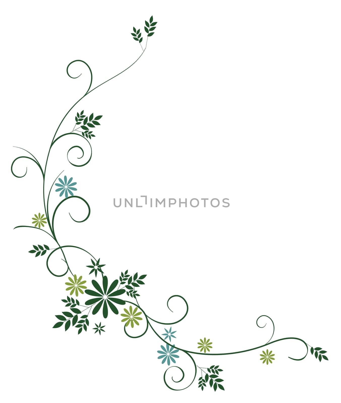 wild flower and vines