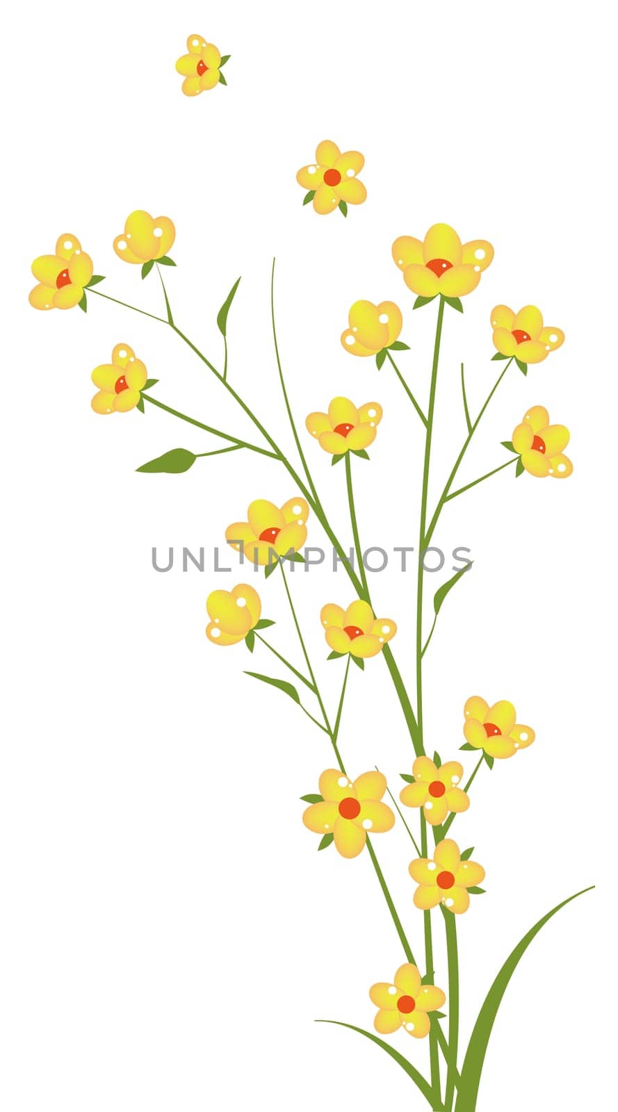 yellow wild flower