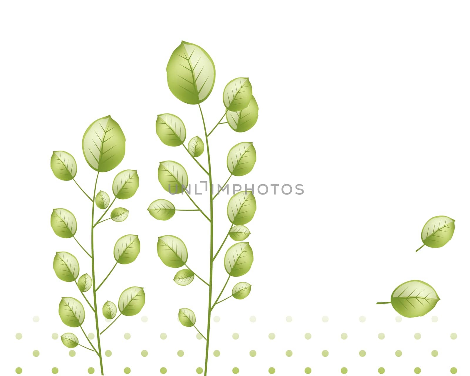 green leaves