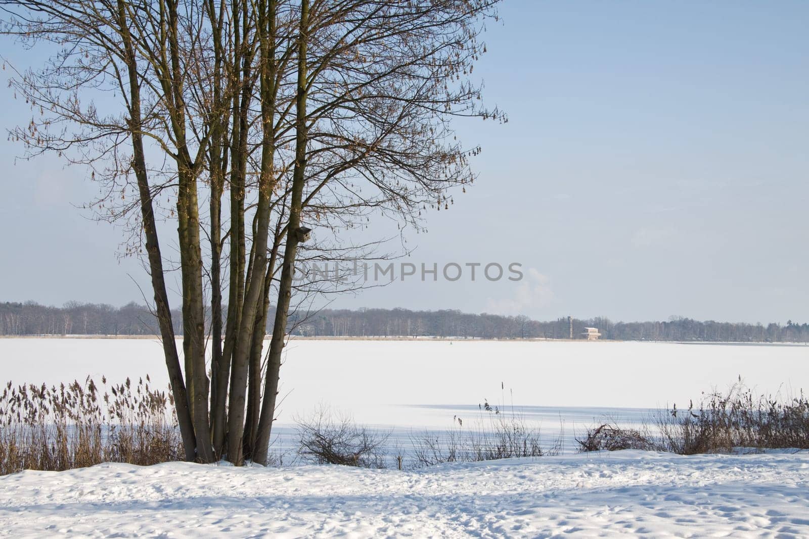 Frozen Havel