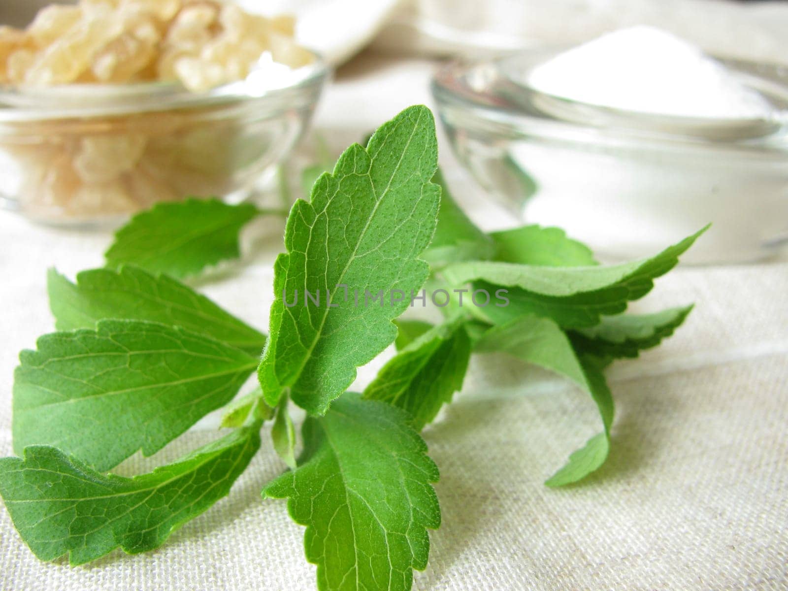 Stevia,sugar and rock candy