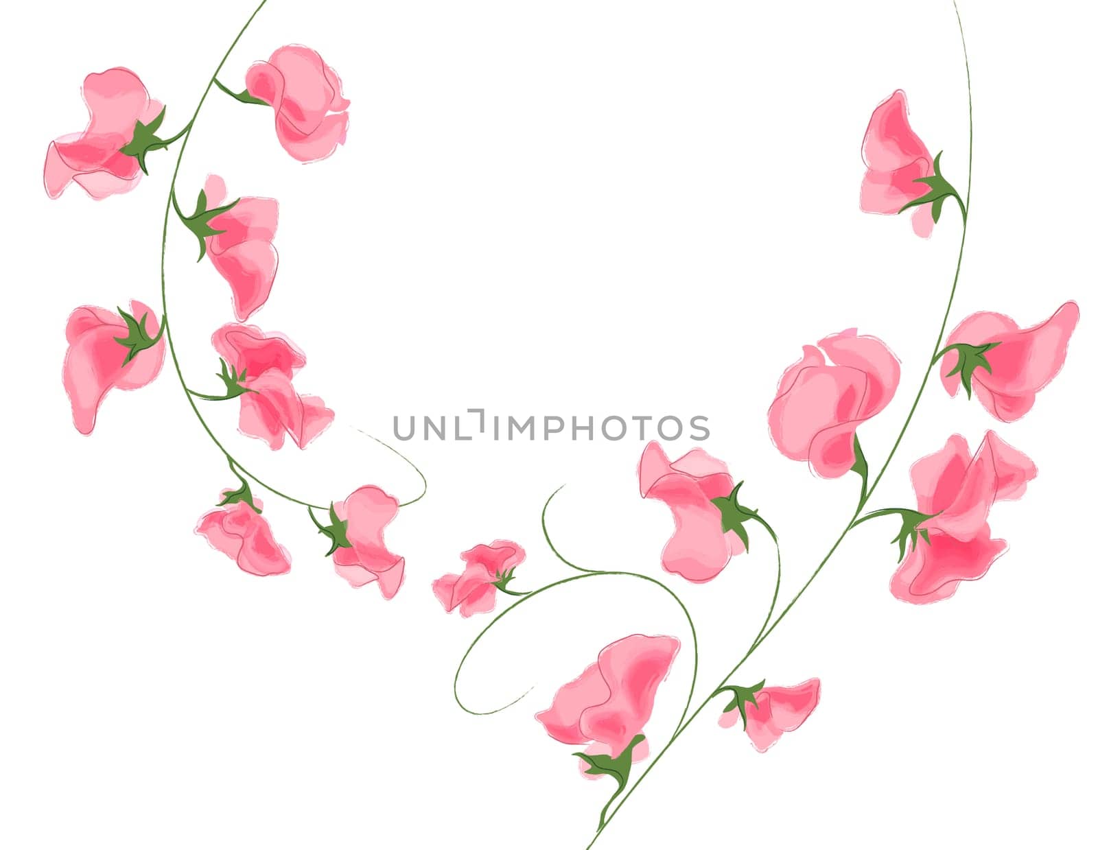 pink flower
