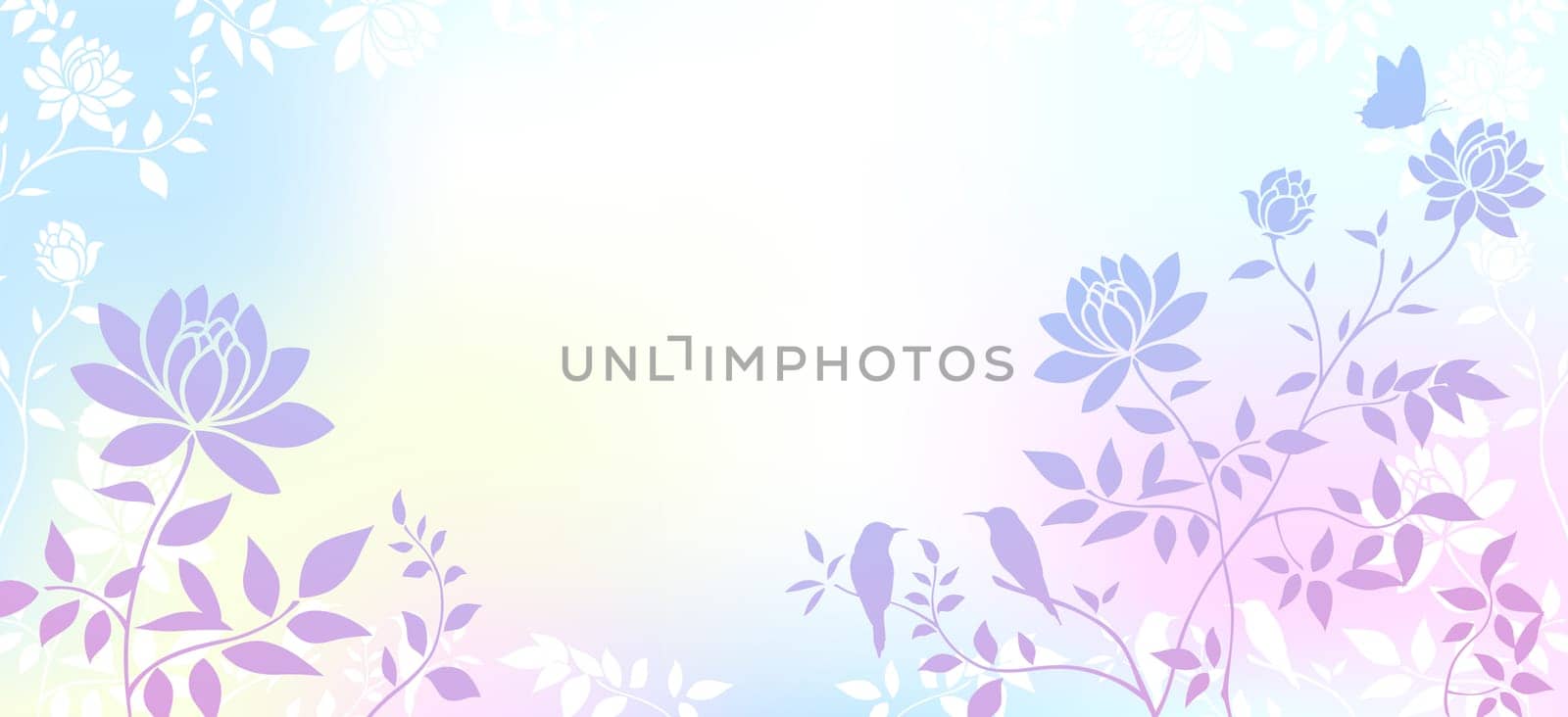 peony flower