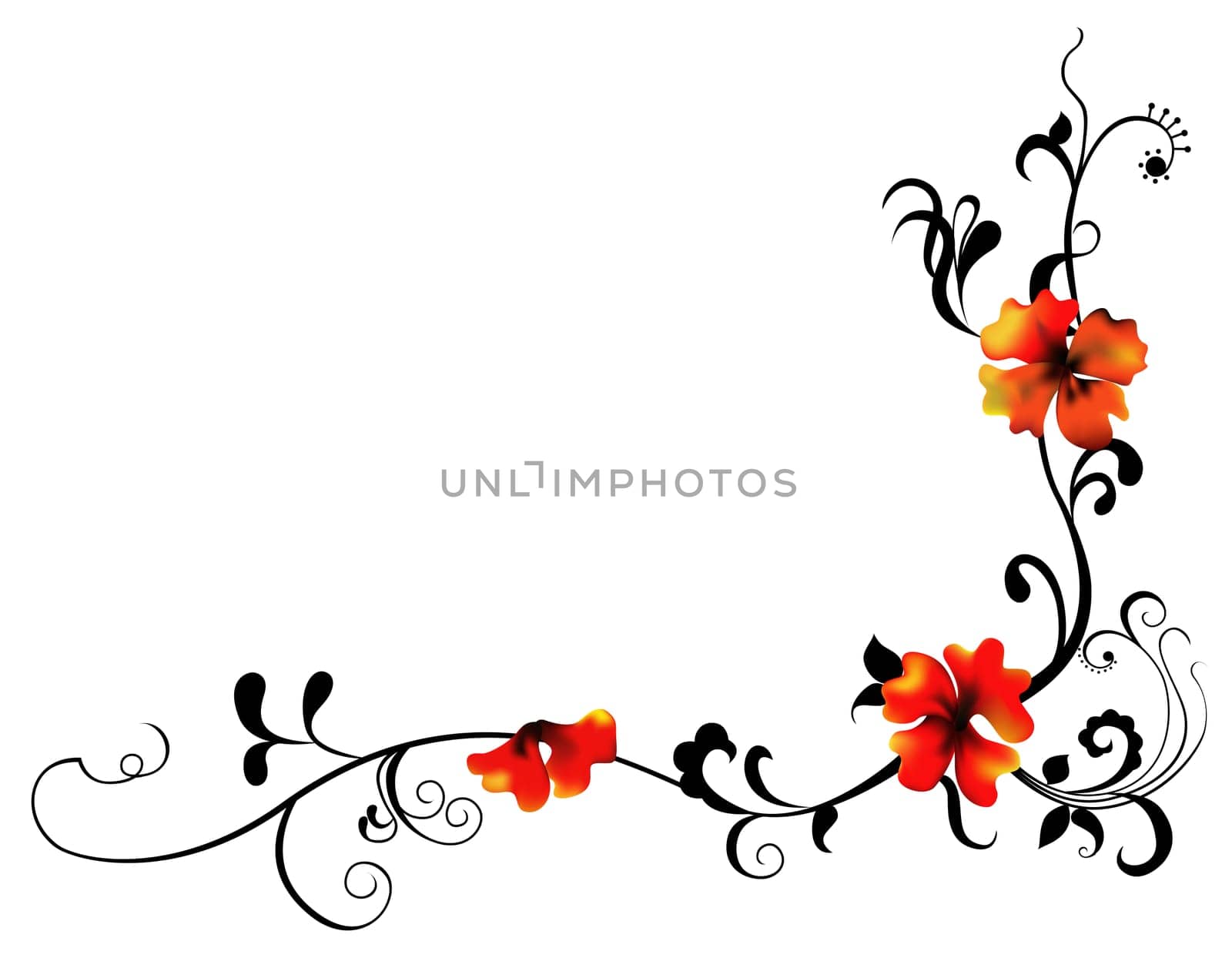 red flower and vines pattern
