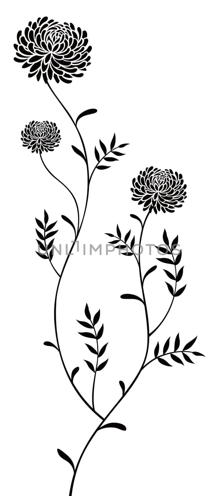 flower pattern