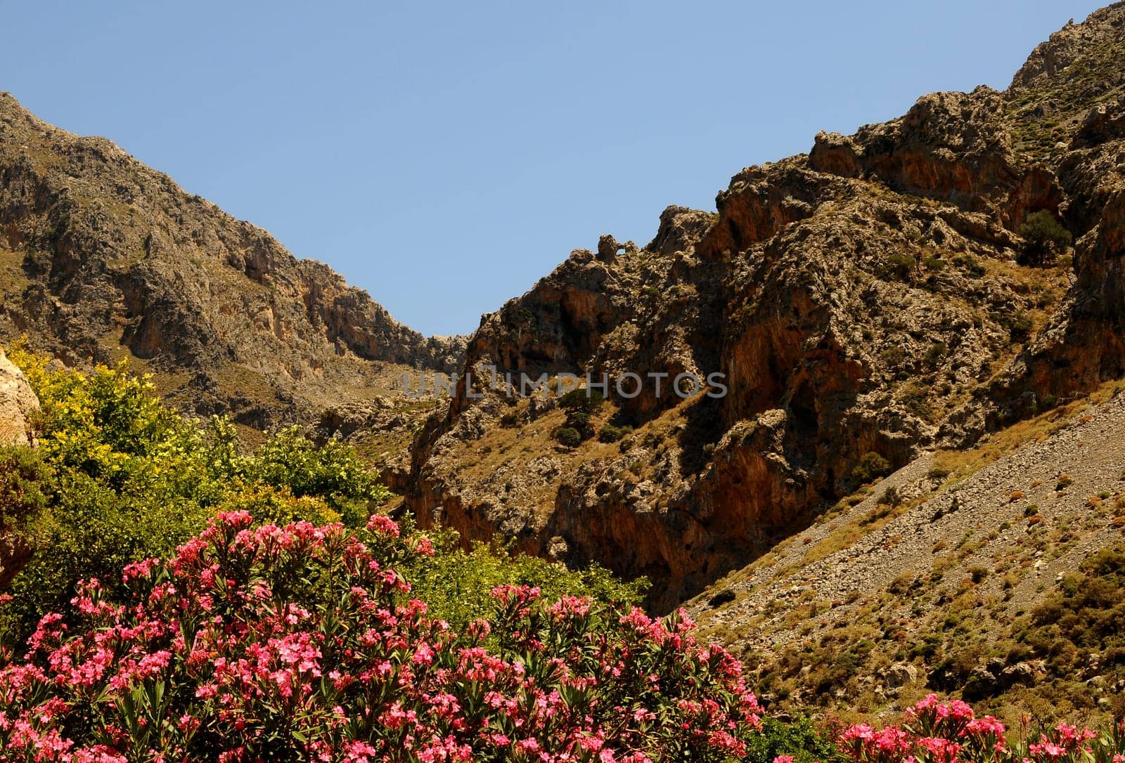 Kourtaliotiko Gorge in Crete