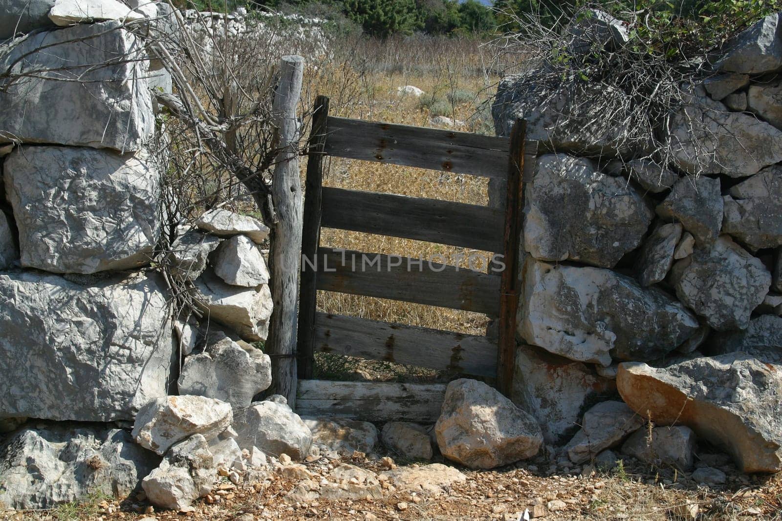 Wooden door. vintage gate