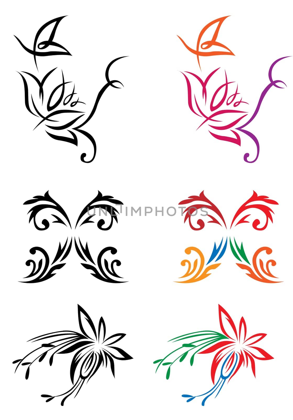 flower pattern