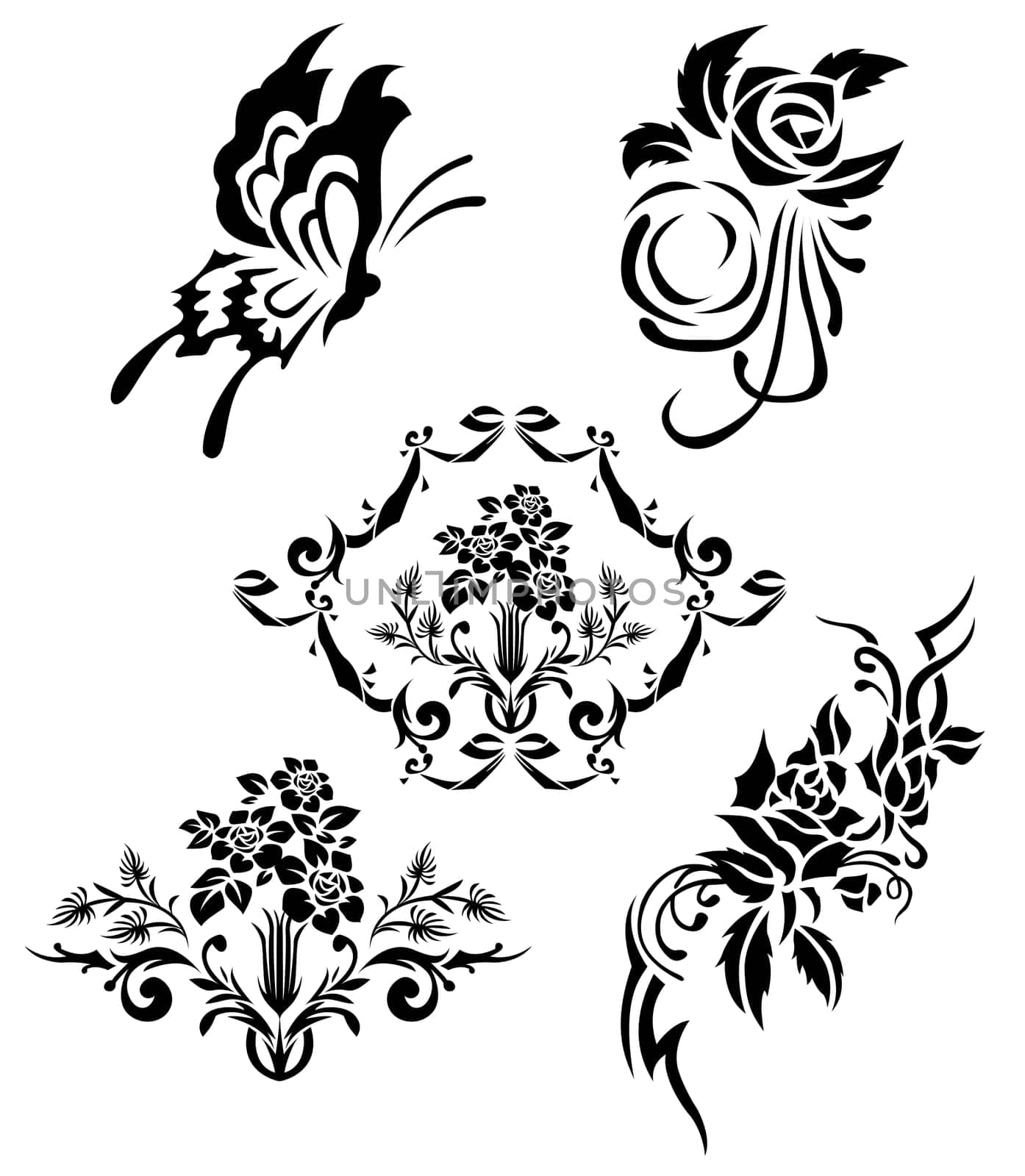 flower and butterfly