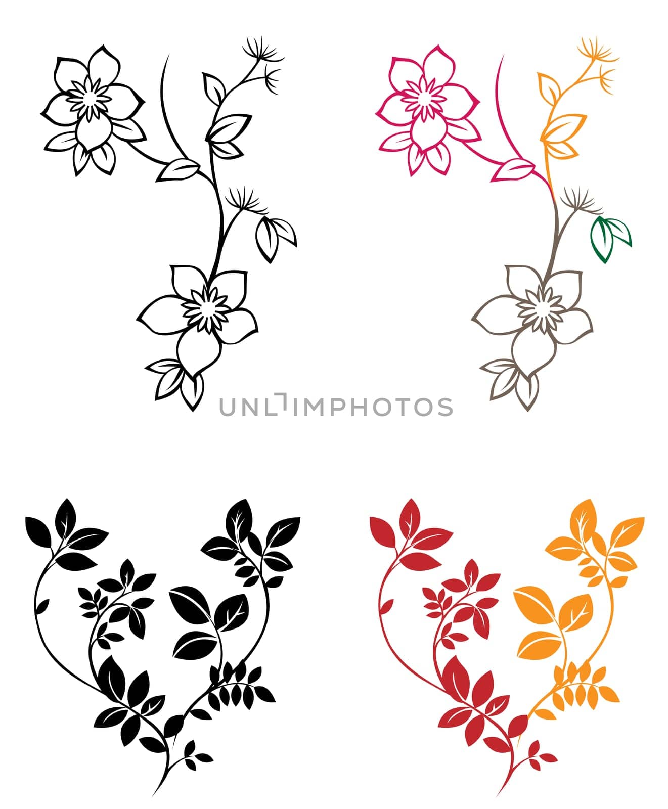 flower and leaves