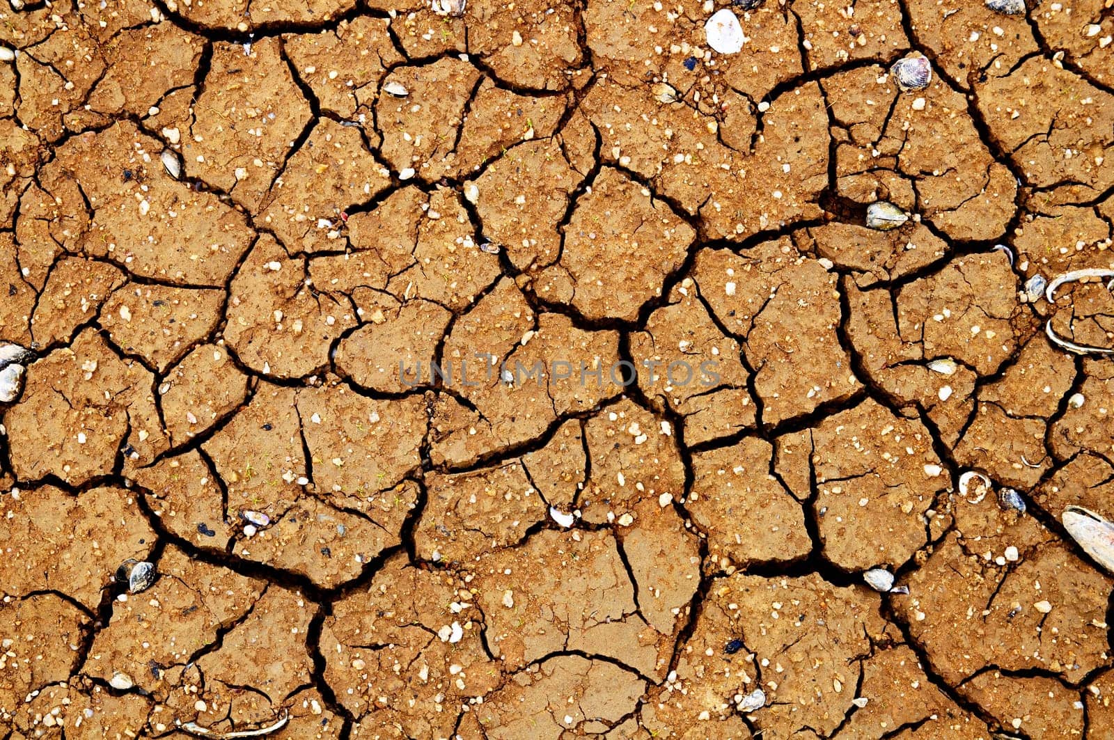 Cracked earth.