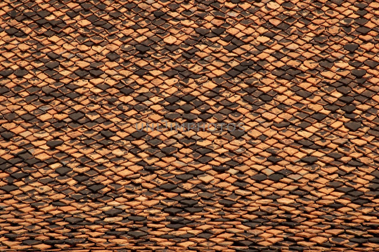 Abstract texture tiled roof