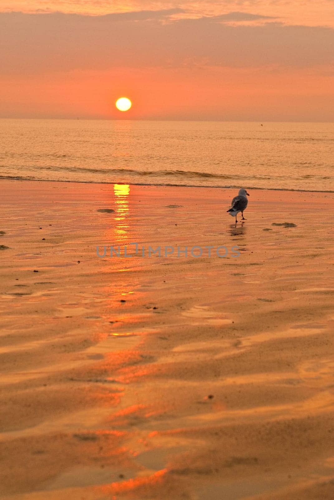 sunset and beach