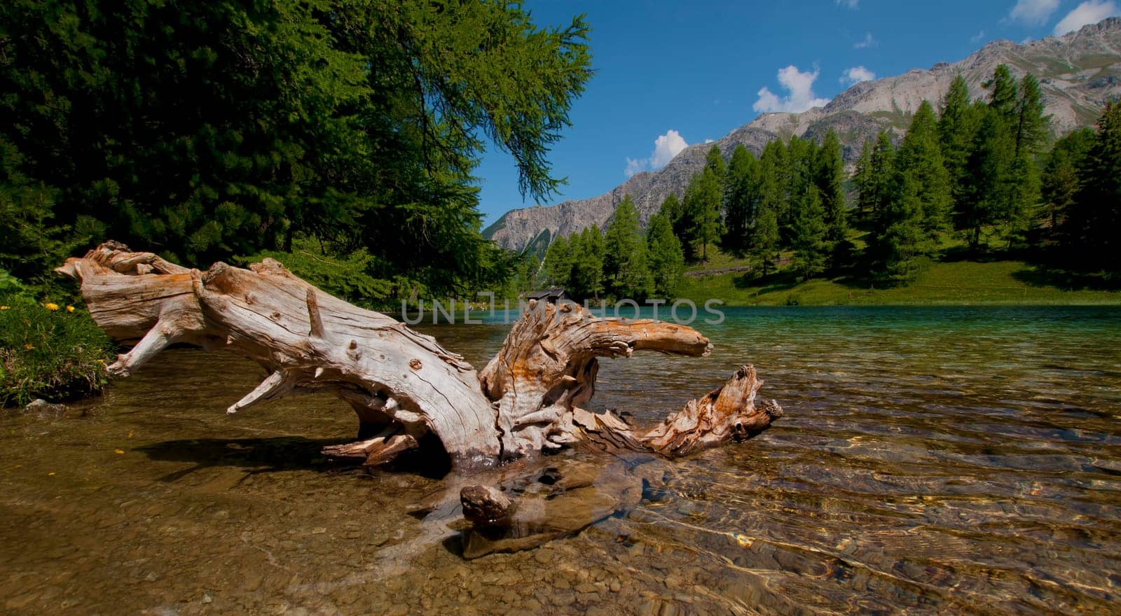 Lake Palpuogna