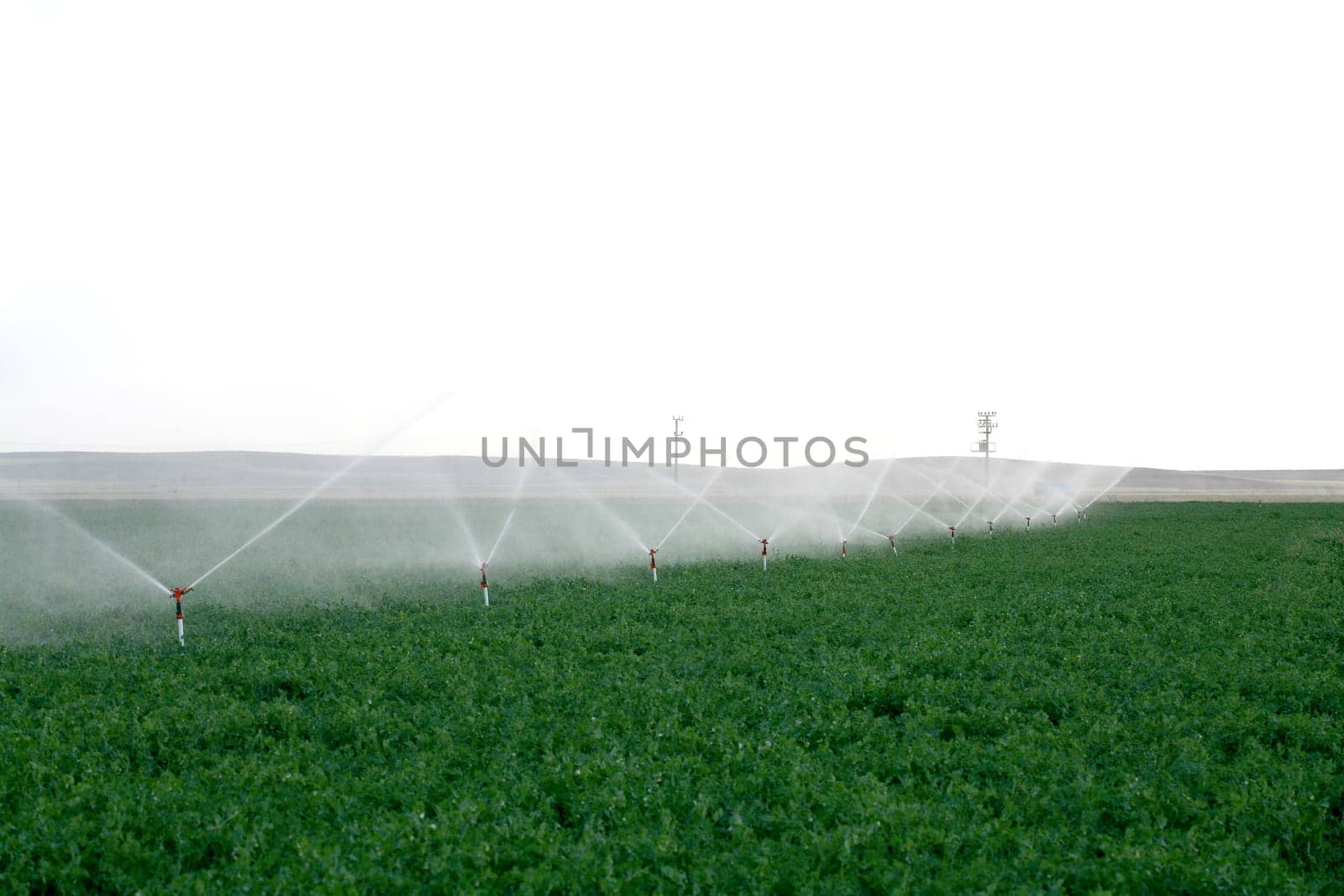 Irrigation sprinklers water a farm field against late afternoon