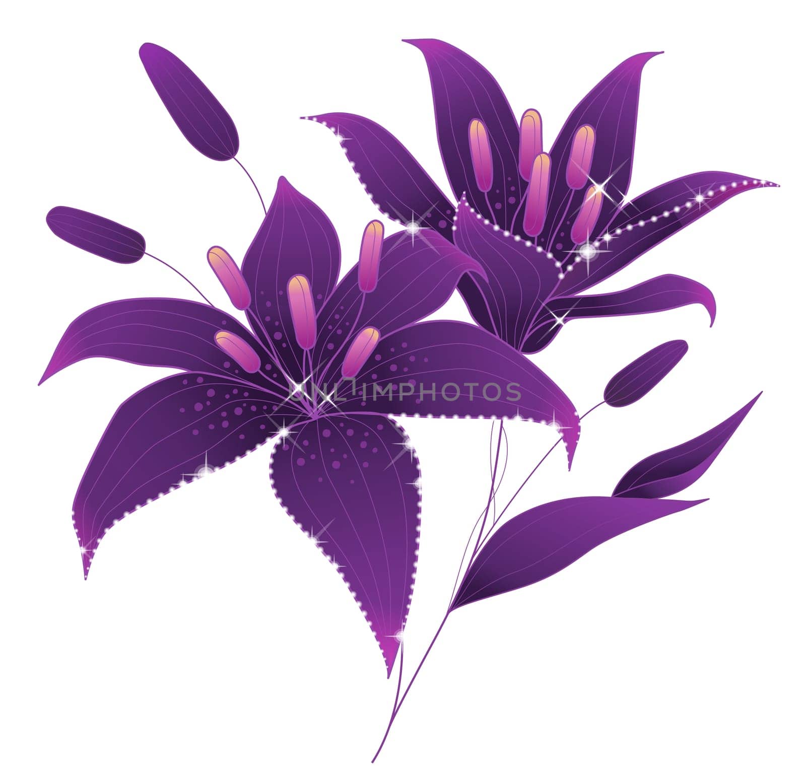 purple flower