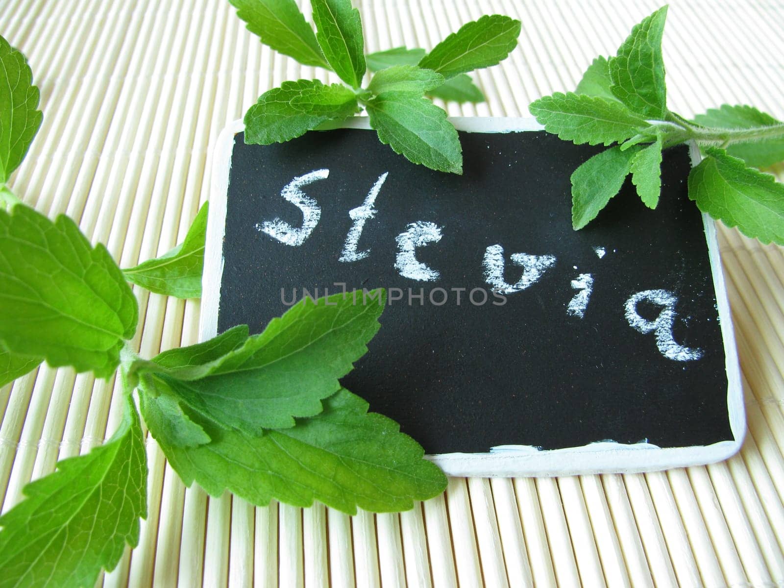 Stevia,sweet herb with name board