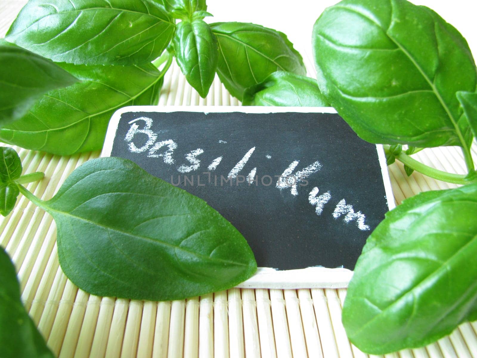 Basil with name plaque