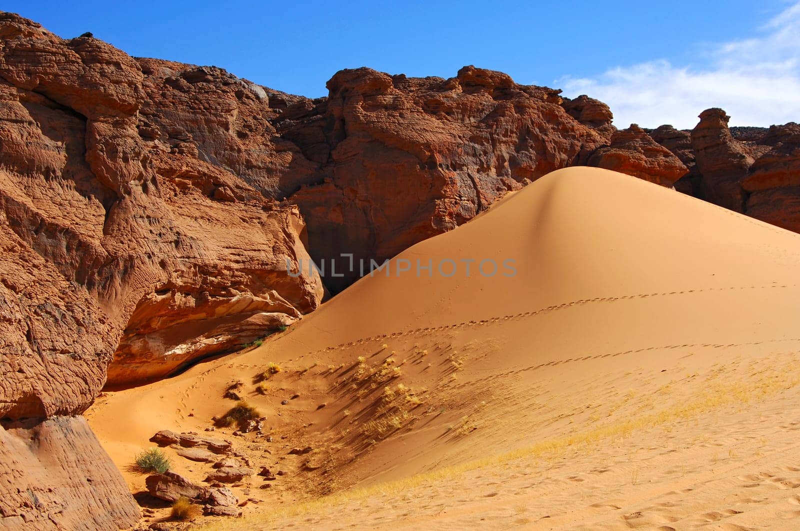 Sand dune in the desert,Africa