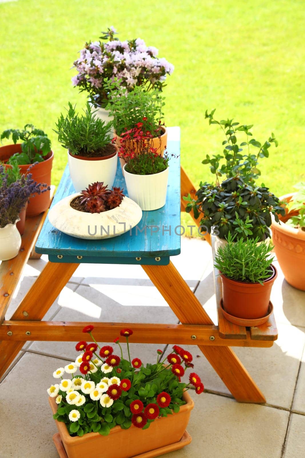 Terrace or roof gardening