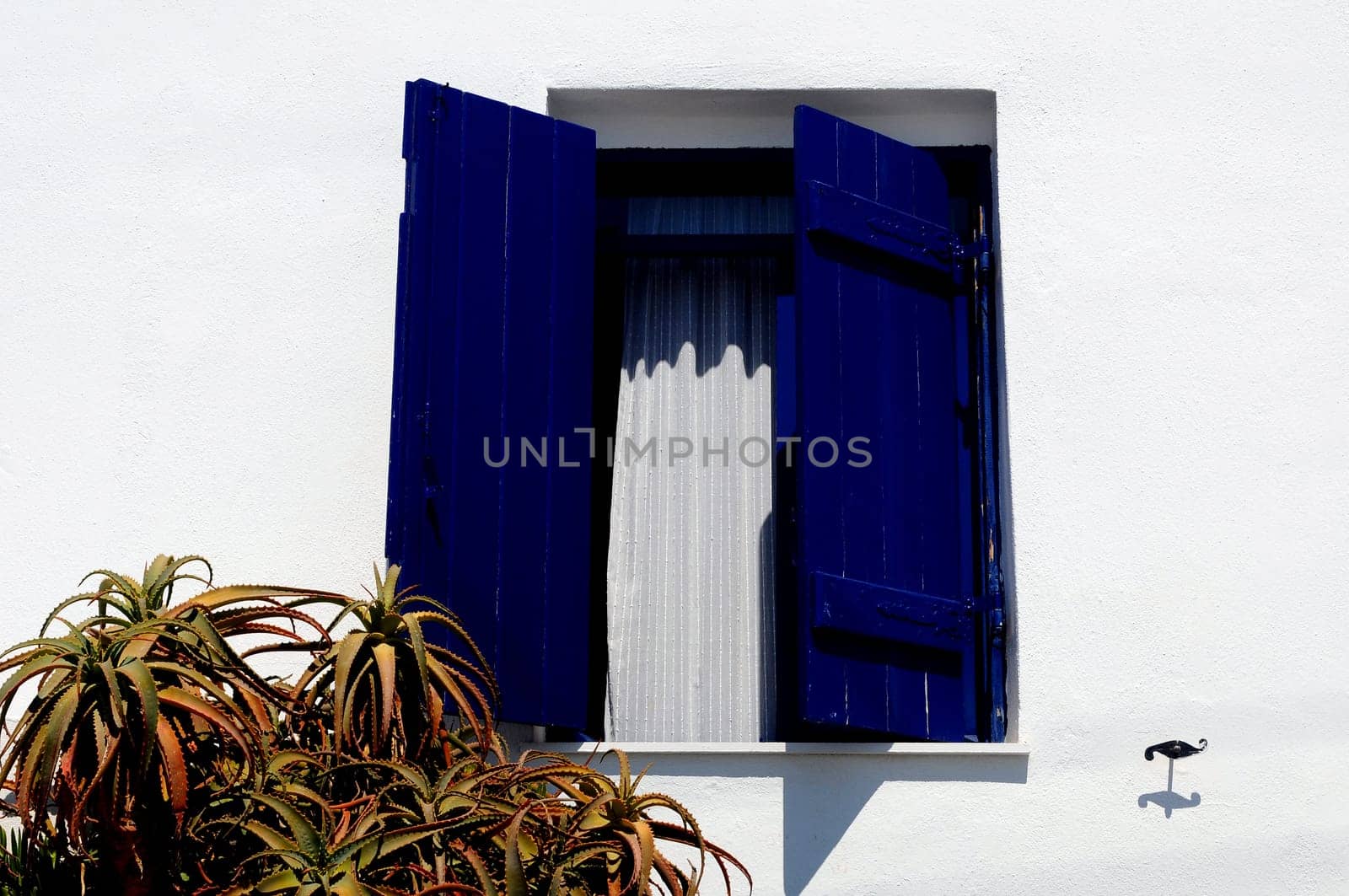 Window from Crete with cactus