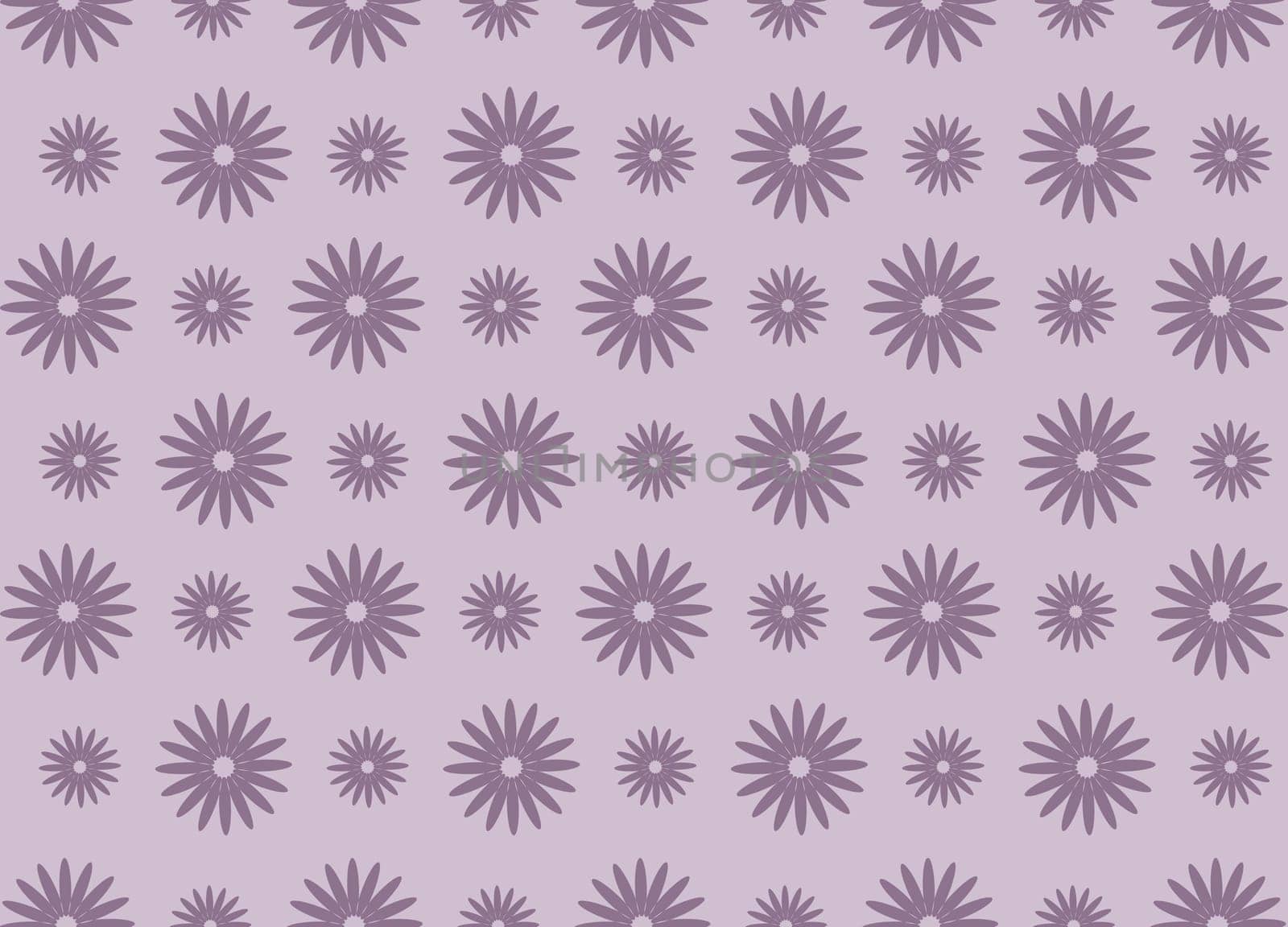 purple daisy flower pattern