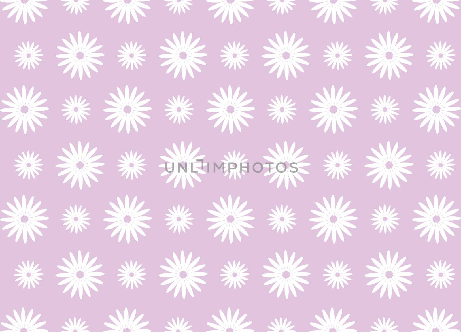 daisy flower pattern