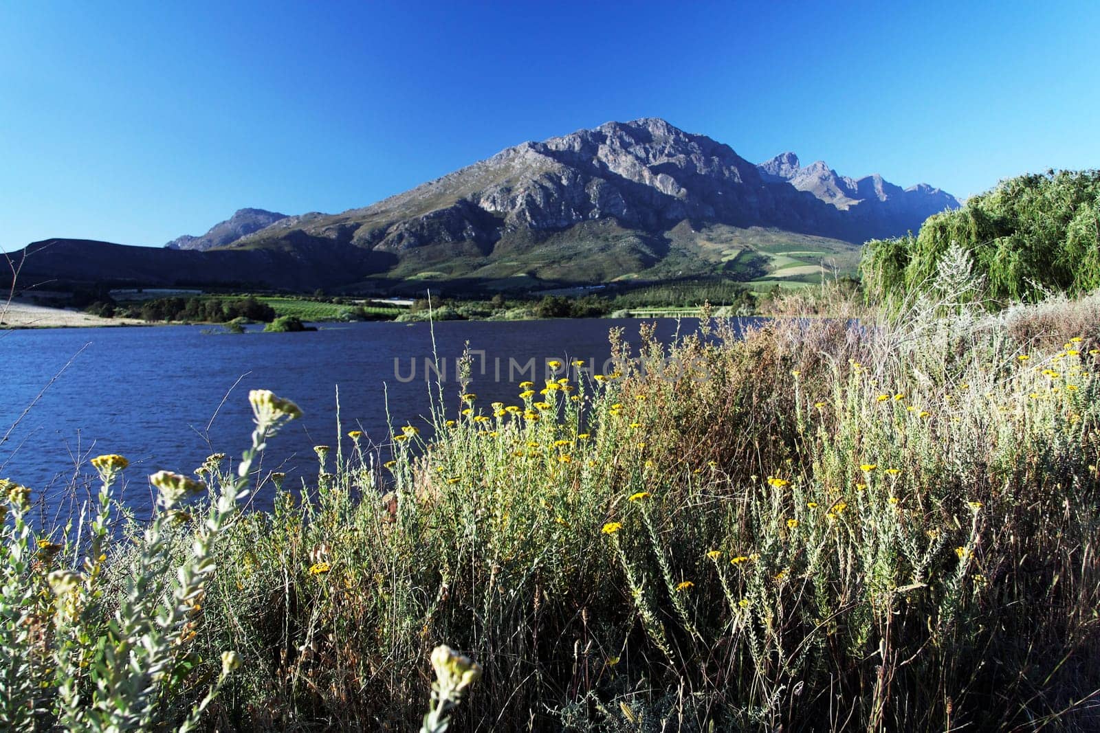 landscape in South Africa