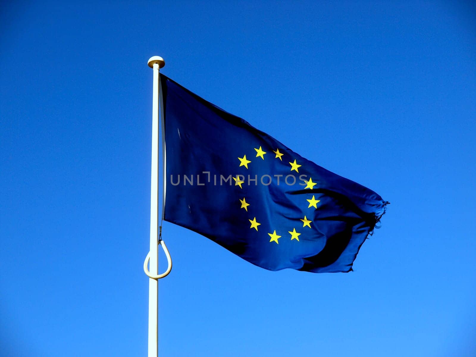 Flag of the EU