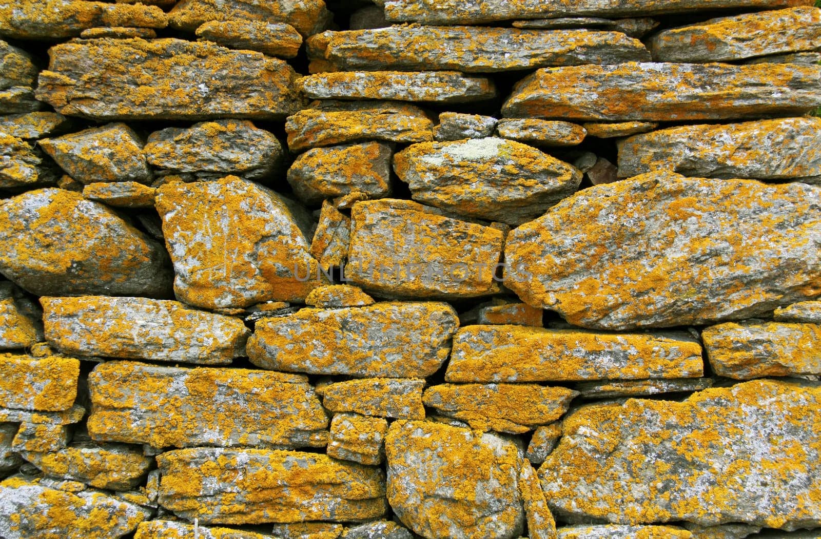 Alpine Wall