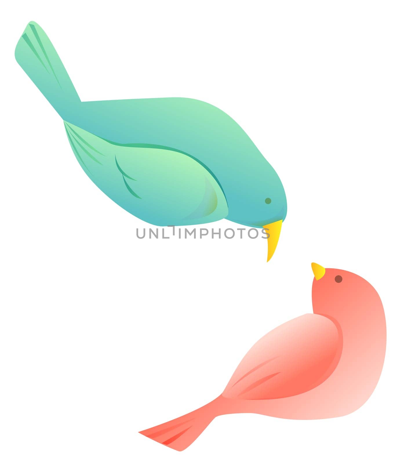 bird