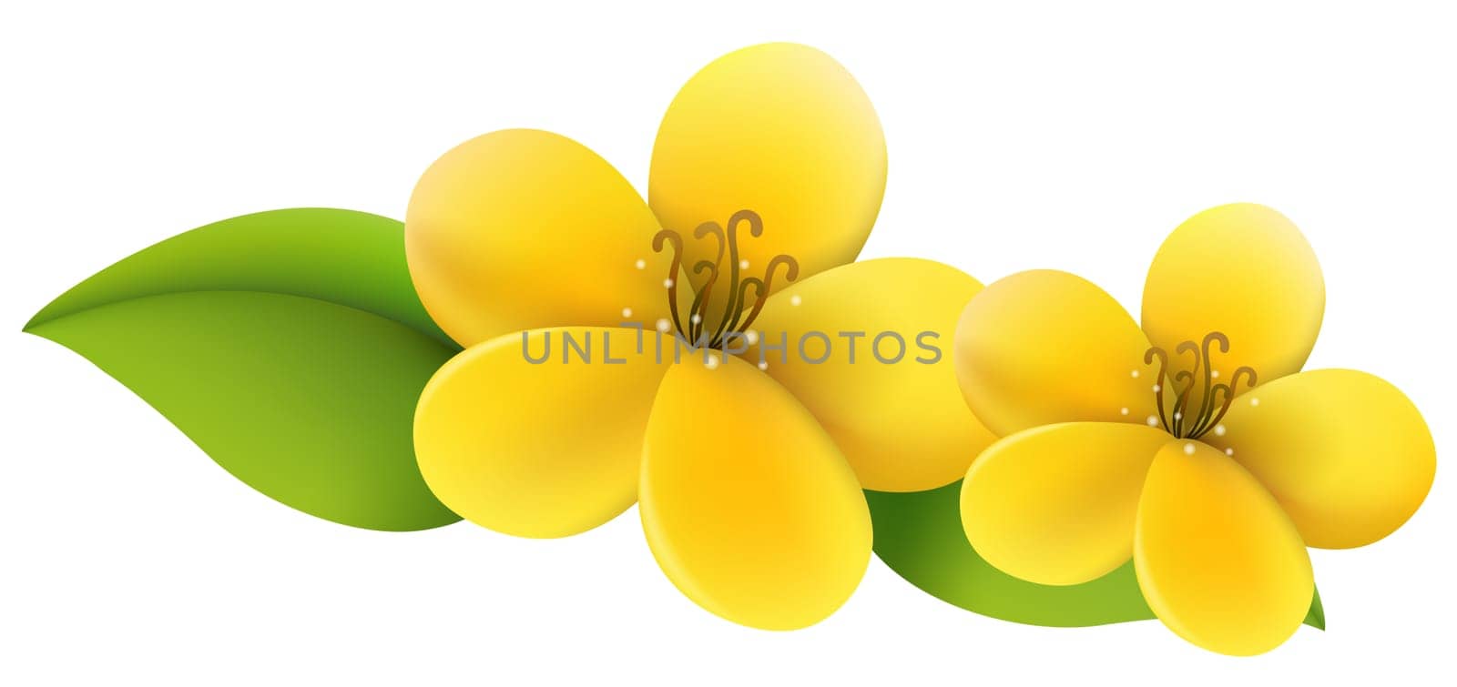 yellow flower