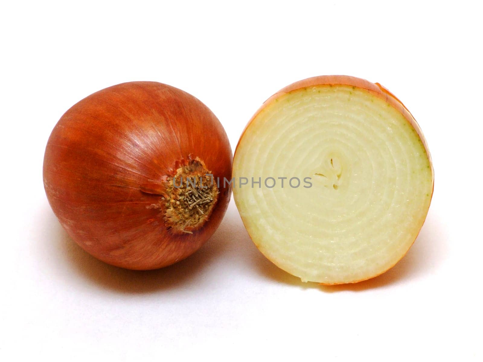 Vegetable onions (Allium cepa)