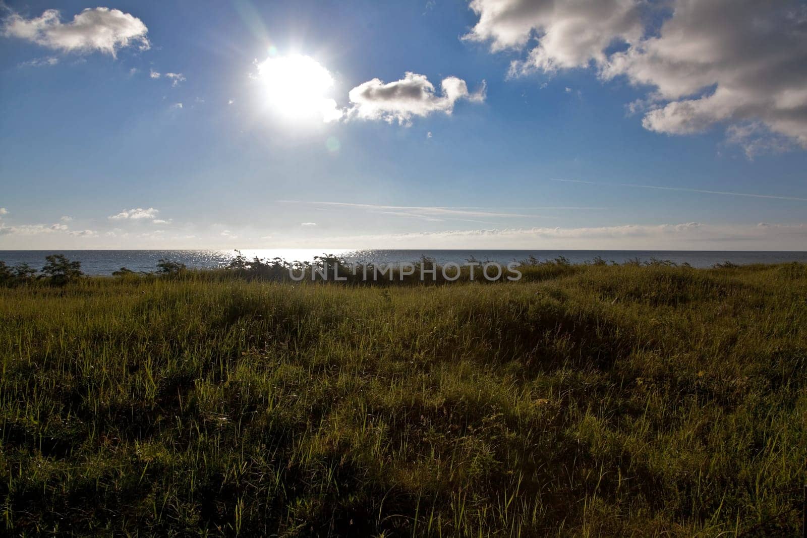 Dune walk