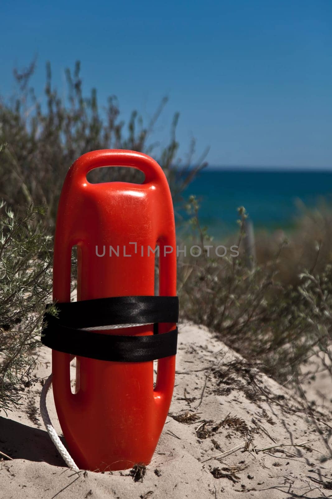 Buoy...........