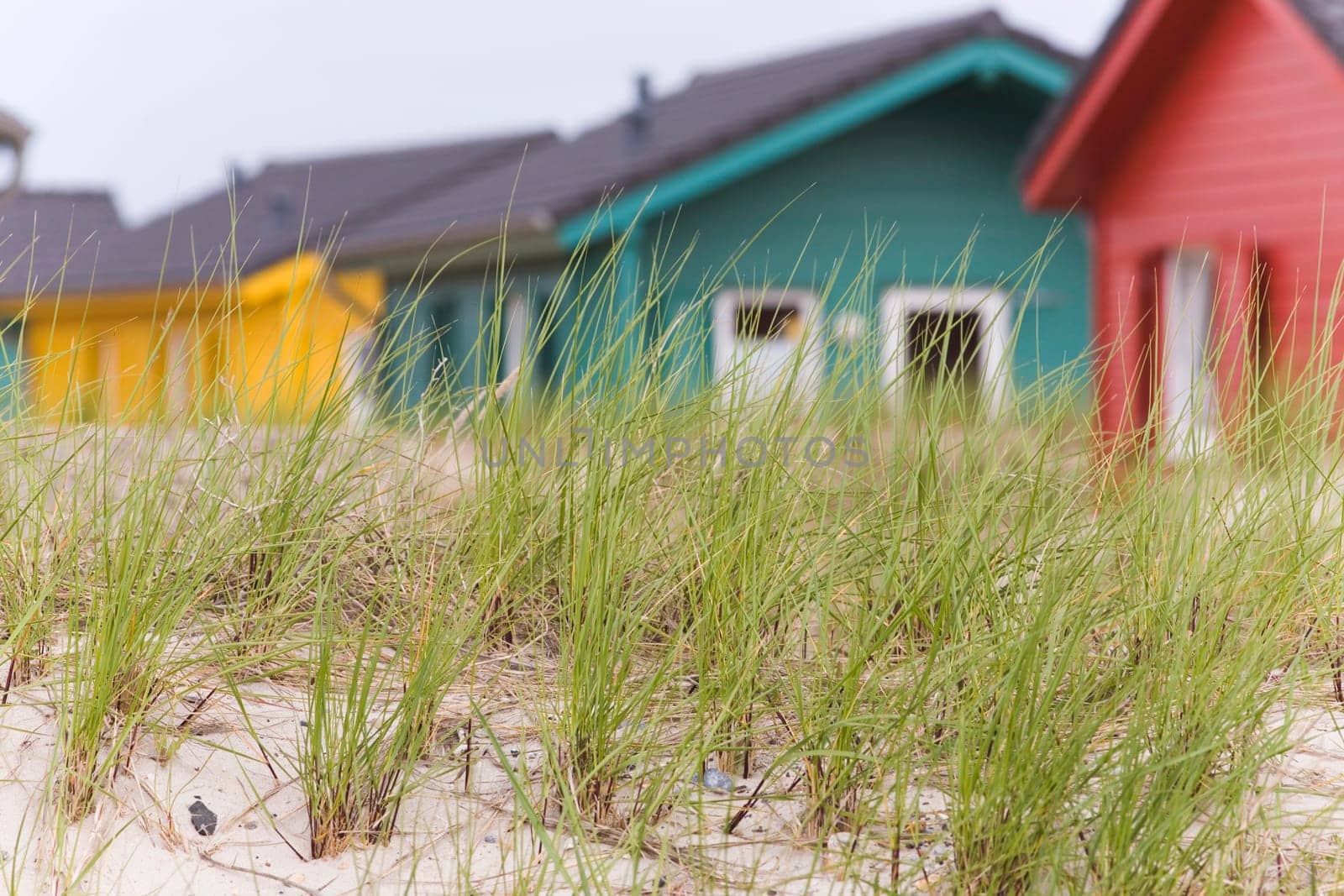 Beach Houses