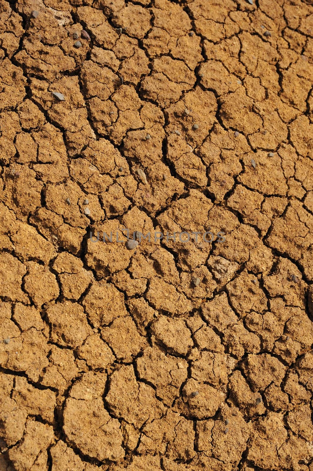 Cracked dry ground texture - background