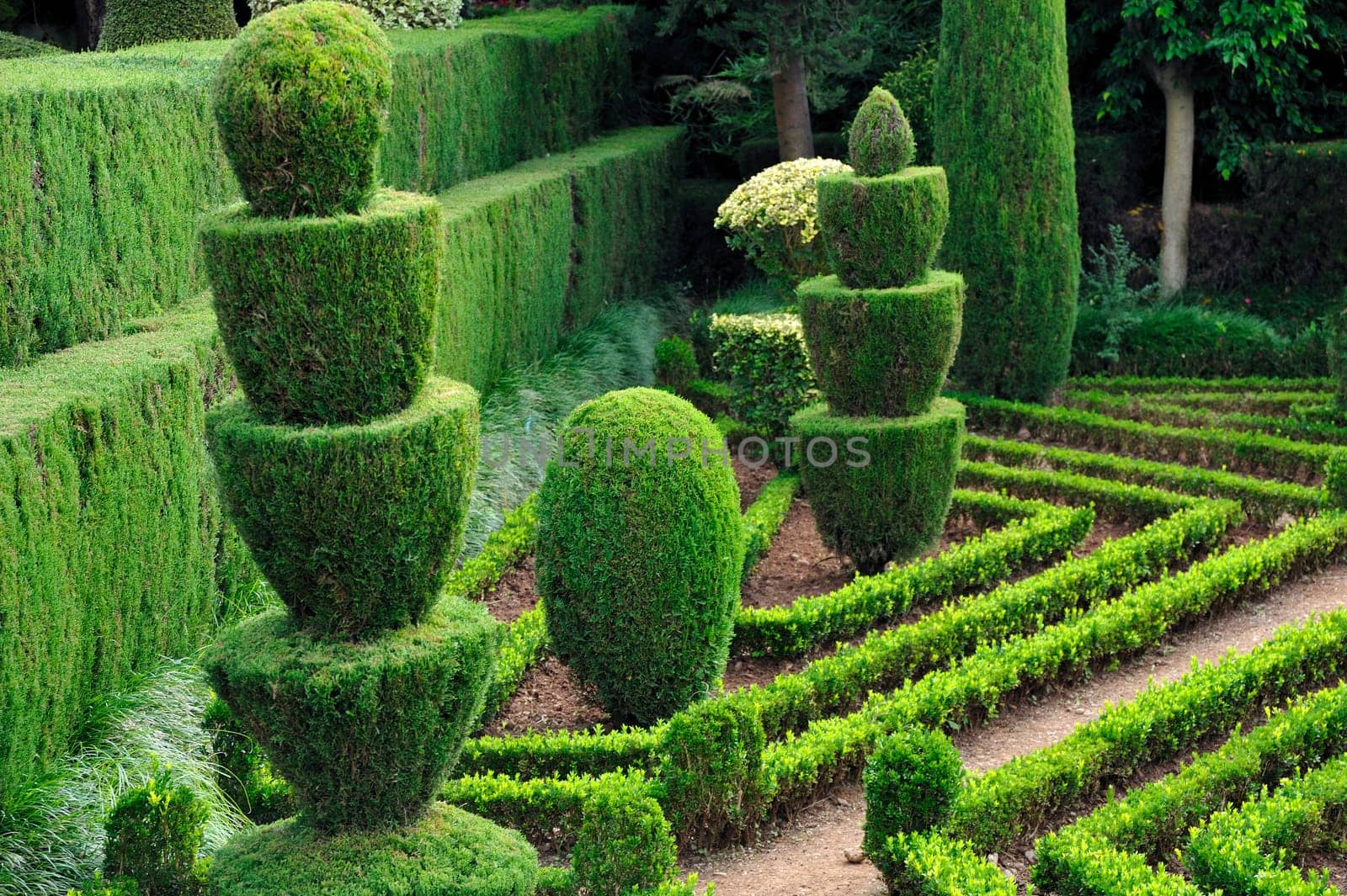 Decorative green park Botanical garden Funchal, Madeira