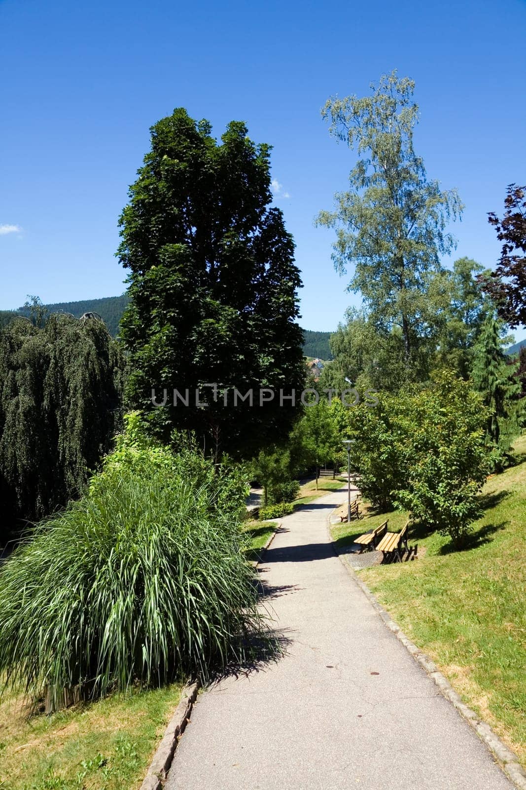 Park in the Black Forest,Beiersbronn