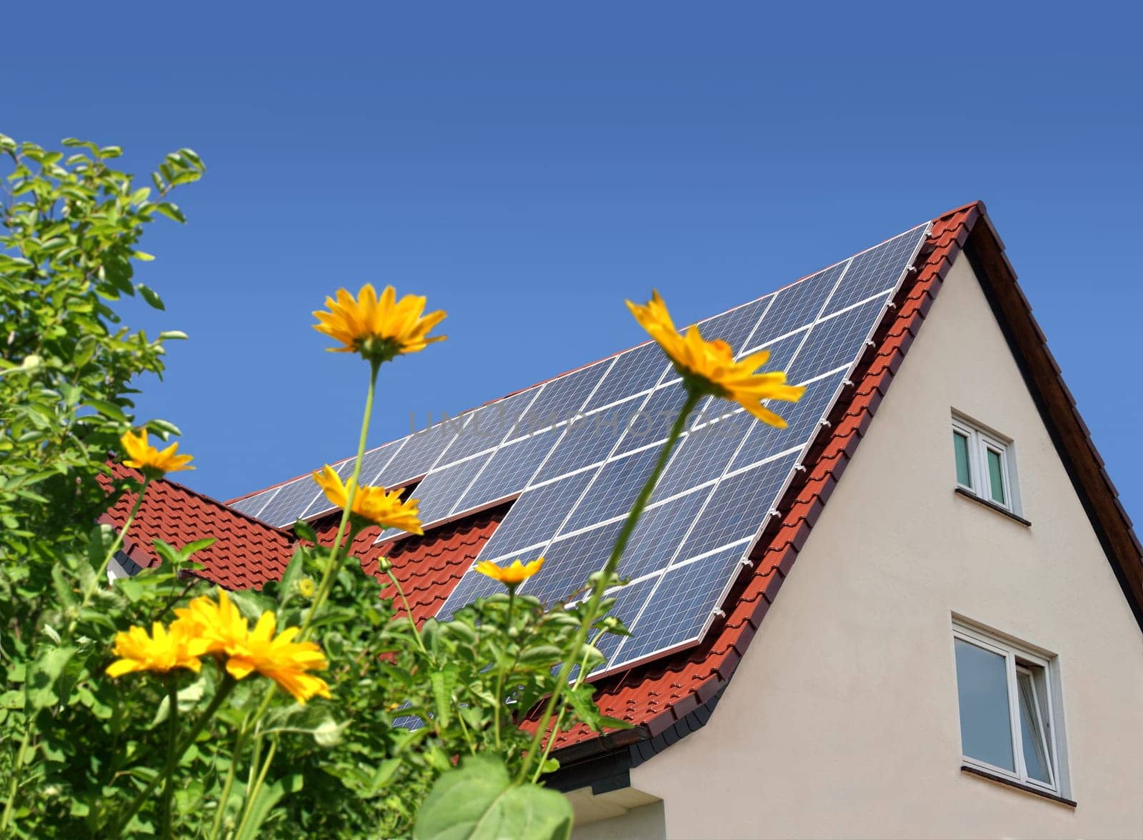 Solar cells on house roof behind flowers