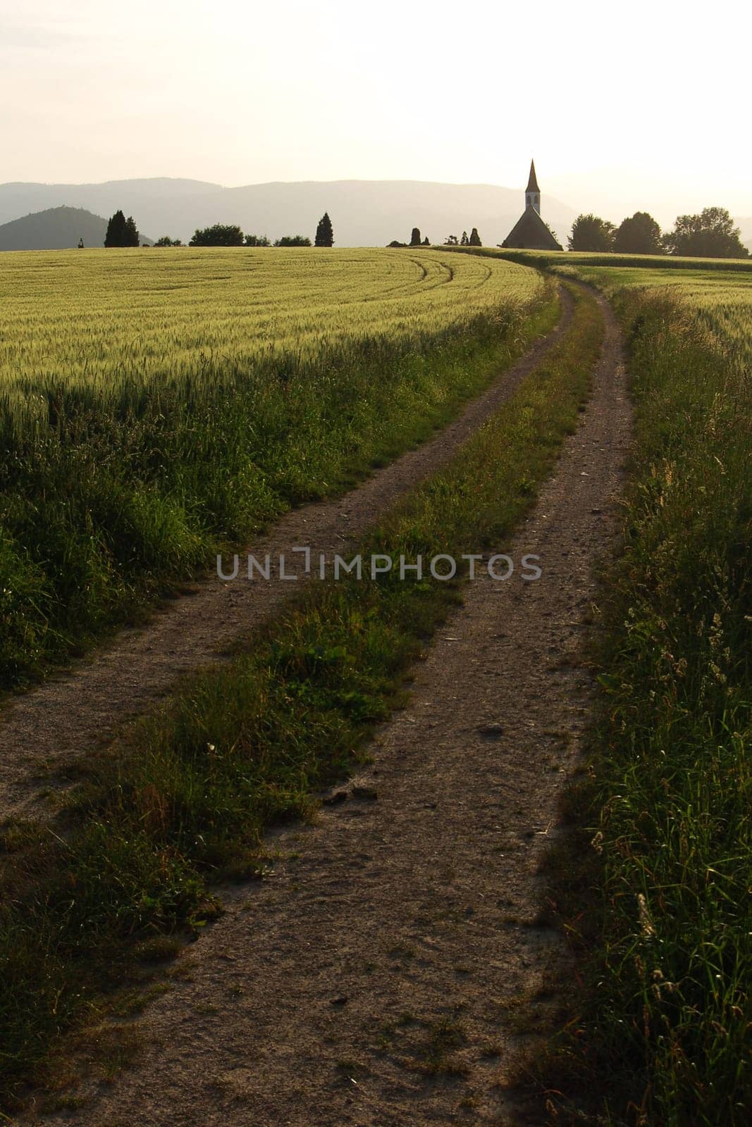 Way to the church