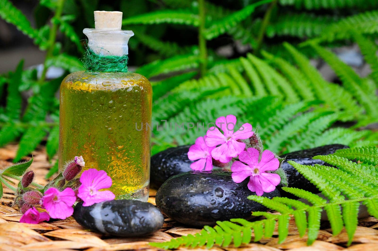 Wellness Sauna Oil