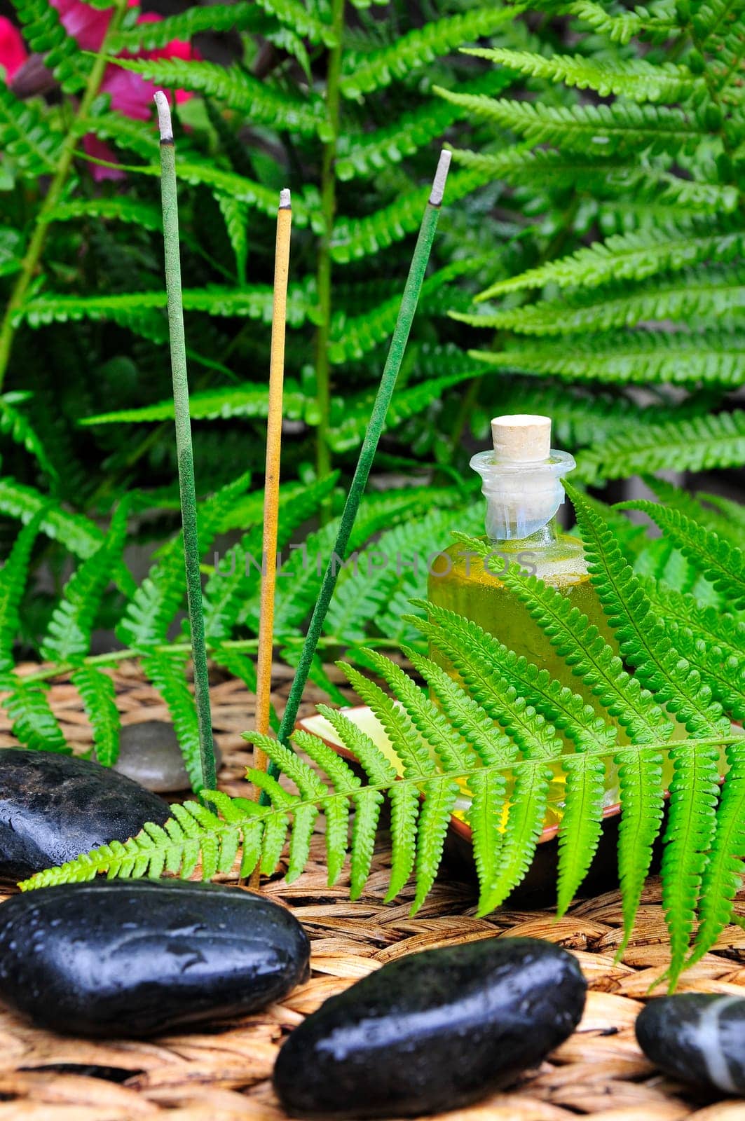Wellness Sauna Oil