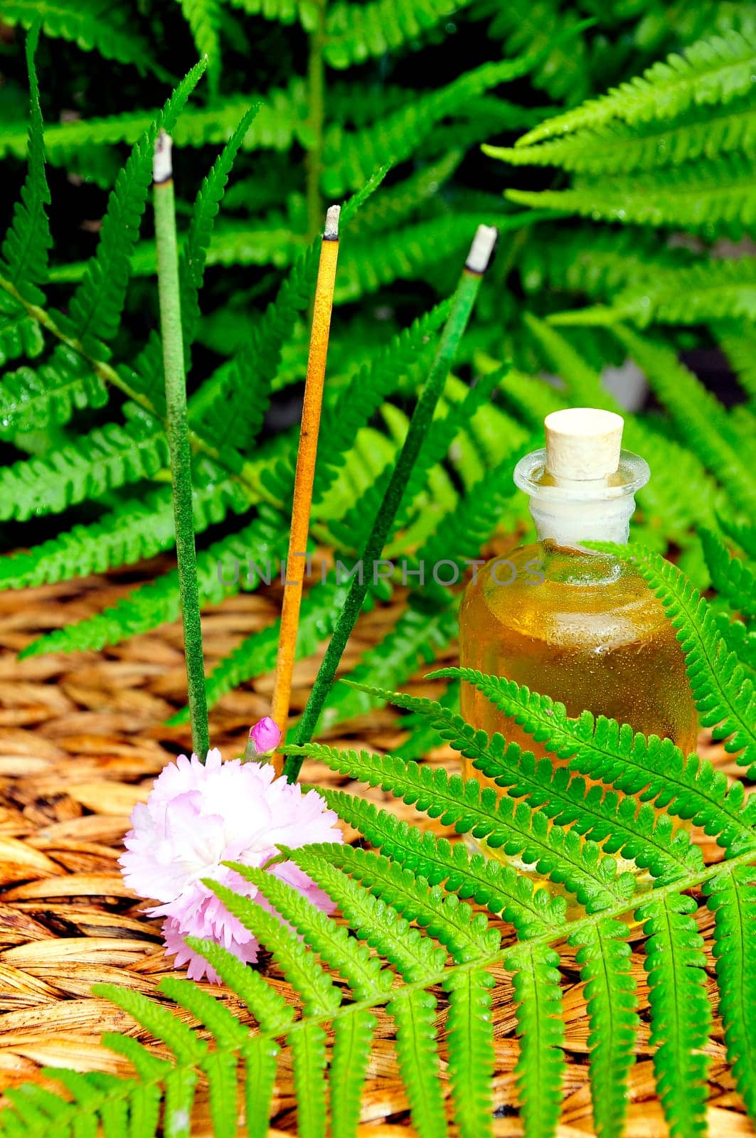 Wellness Sauna Oil