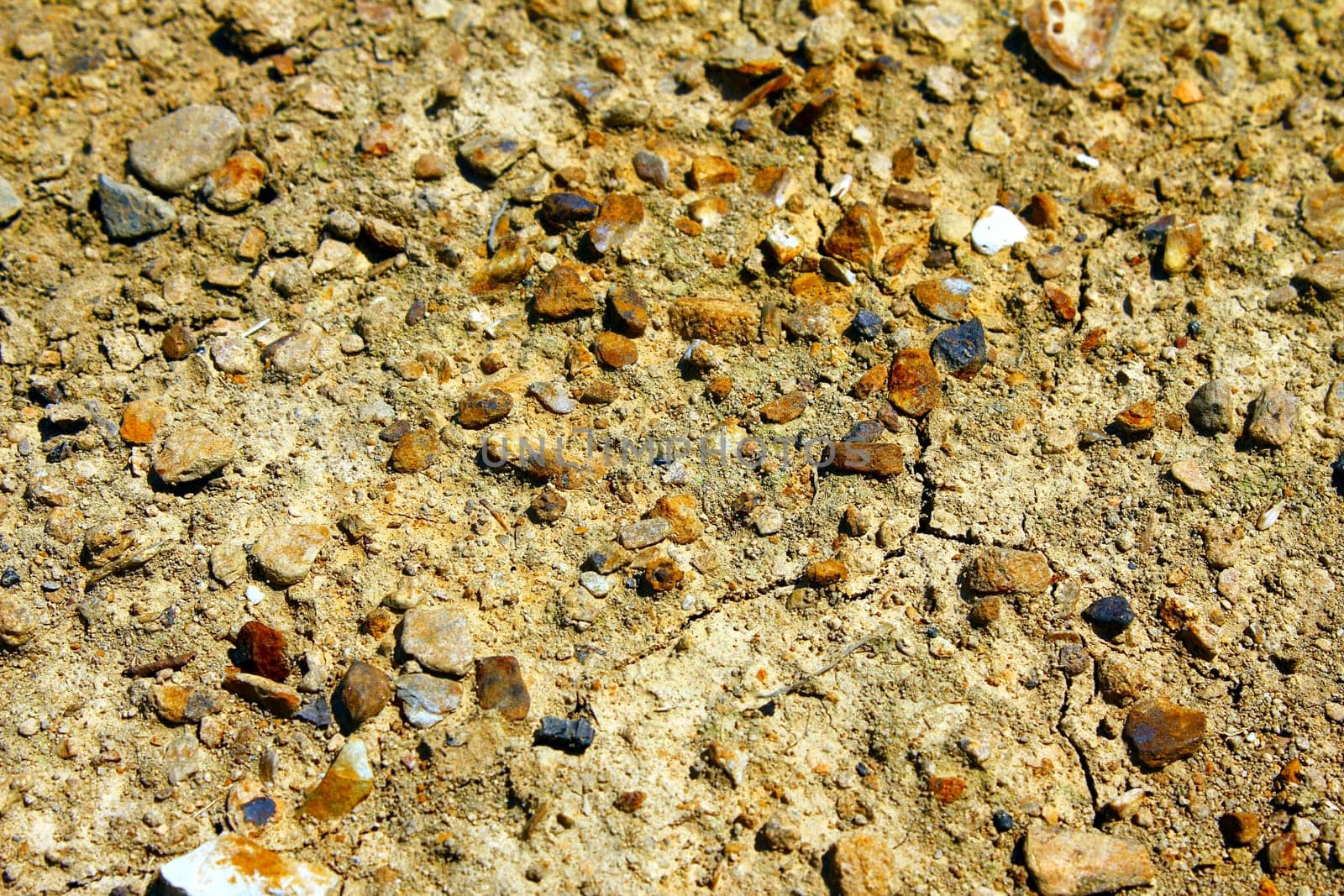 stony ground